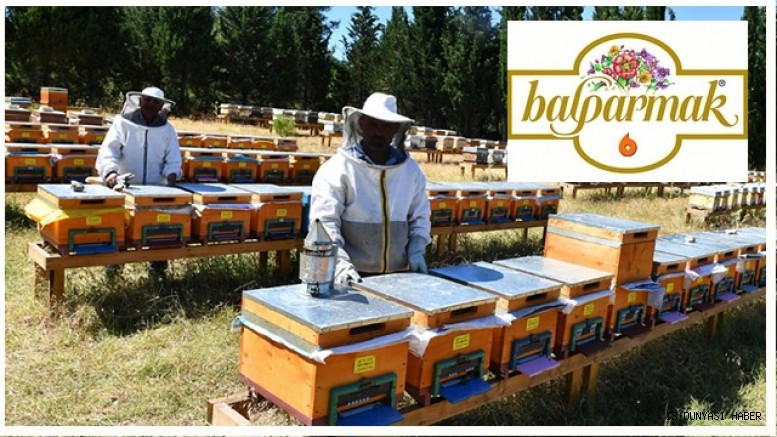 Balparmak, Muğlalı arıcılara 30 milyon TL’lik bal alım desteği sağlıyor